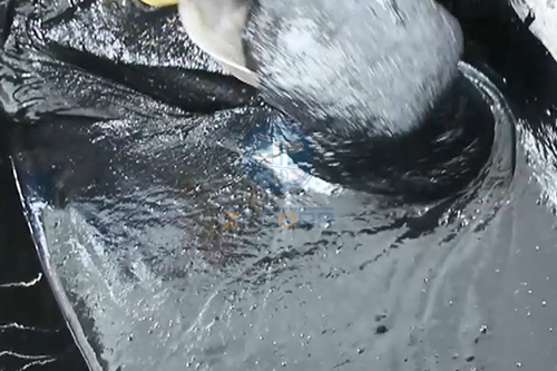 湖北活性炭滤饼挤压脱水减量